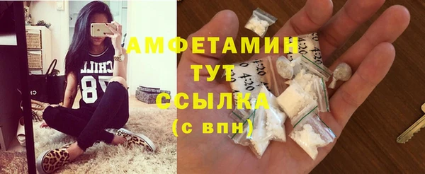 твердый Володарск